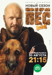 Пёс 7 сезон все серии